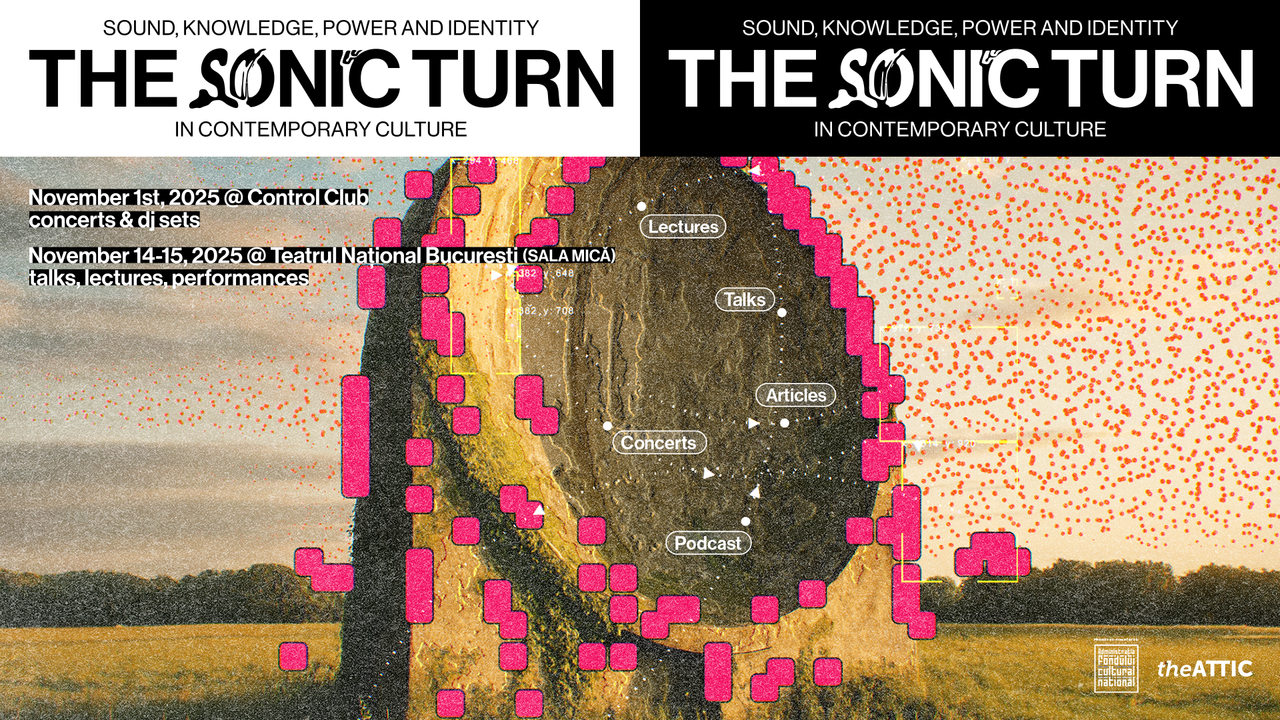 The Sonic Turn